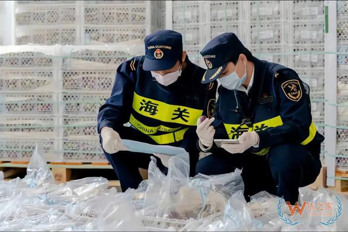 海關(guān)查驗:進(jìn)口商品在什么情況下會加嚴(yán)抽樣查驗？